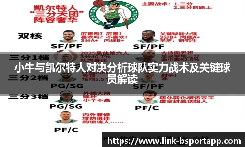 小牛与凯尔特人对决分析球队实力战术及关键球员解读